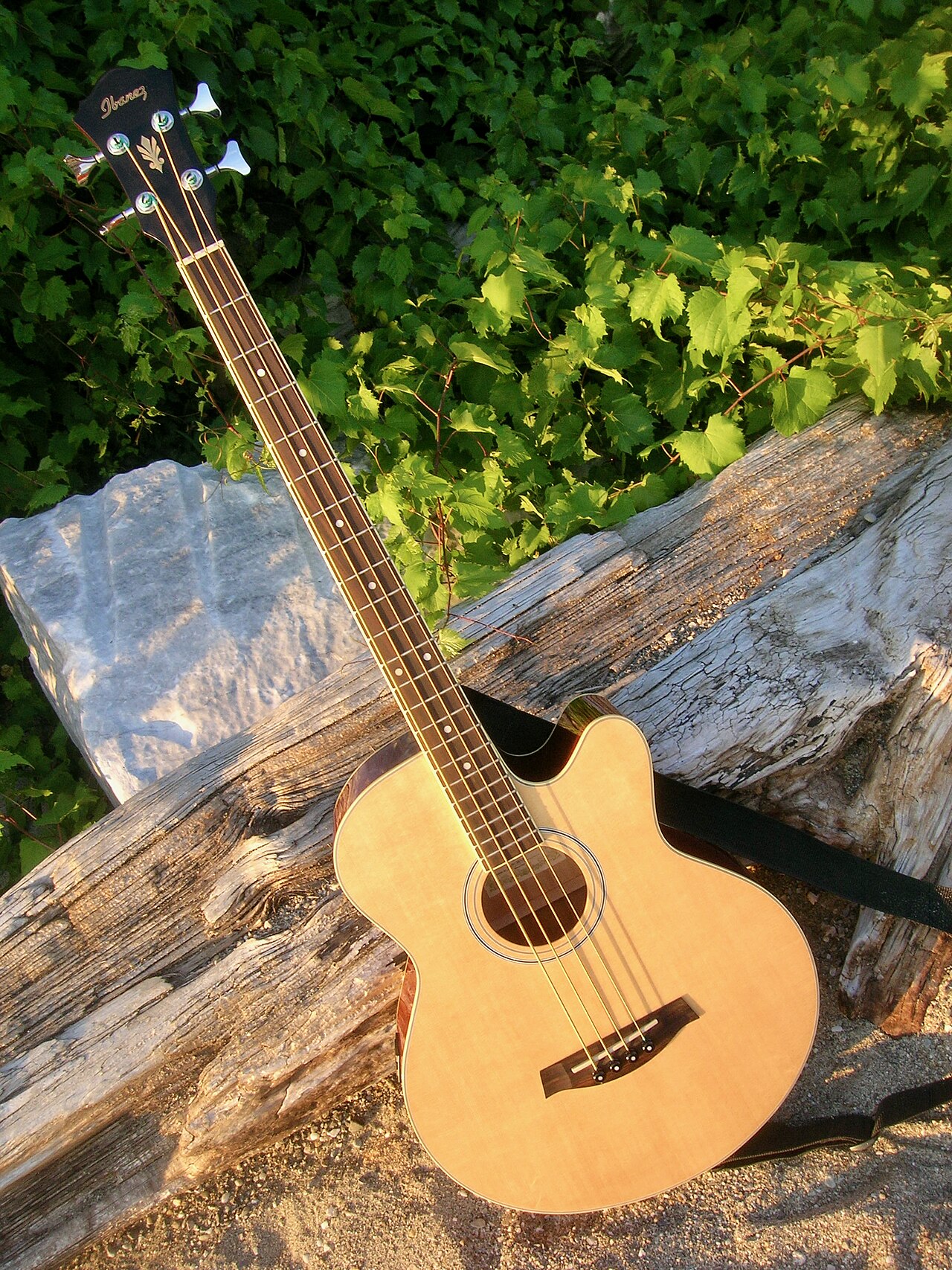 Ibanez SR500 5-String Bass